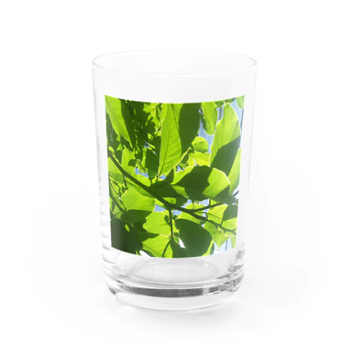 葉っぱキラキラ Water Glass