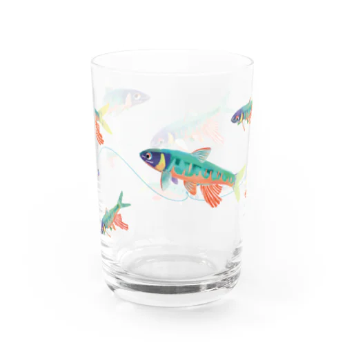 オイカワグラス Water Glass