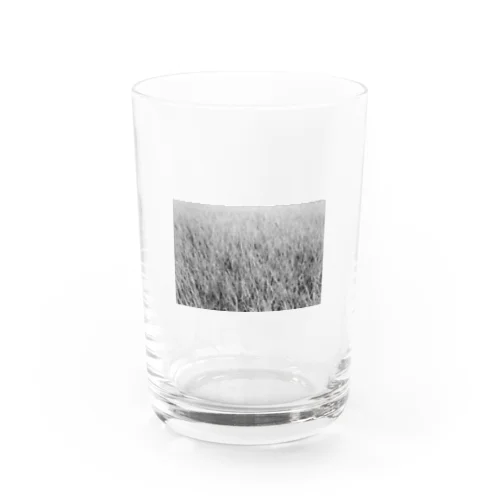 稲 Water Glass