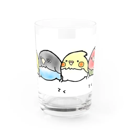 インコ ボタン オカメ コザクラ隊 Water Glass