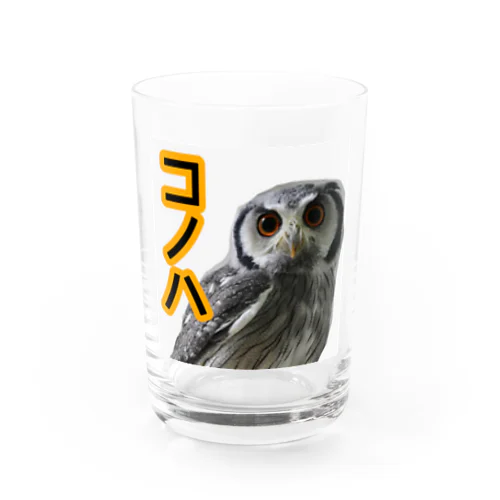 夜雲さん家のコノハちゃん Water Glass