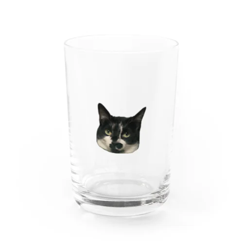 しかめ面の小豆 Water Glass