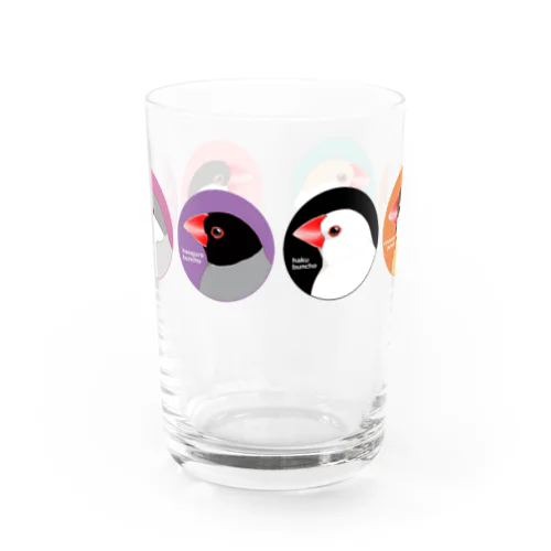 いろいろ文鳥横並び Water Glass