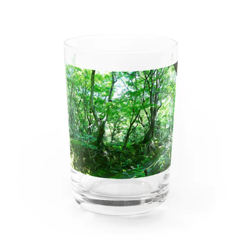 真夏の寺 Water Glass