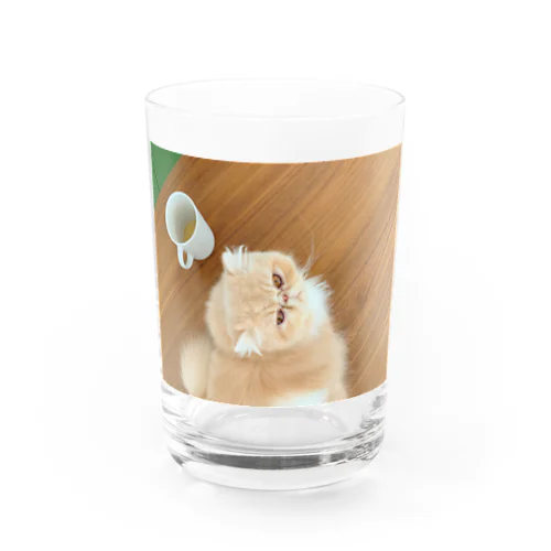 BEBE グラス Water Glass