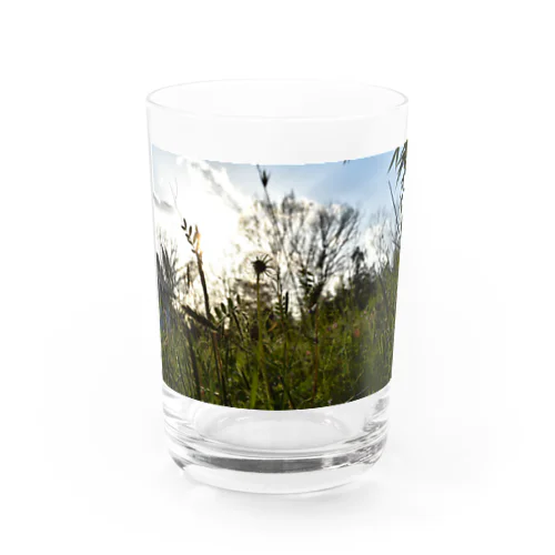 綿毛 Water Glass