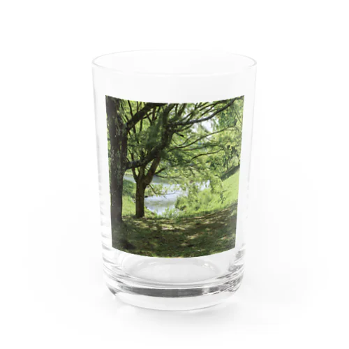 癒しの風景（樹木） グラス