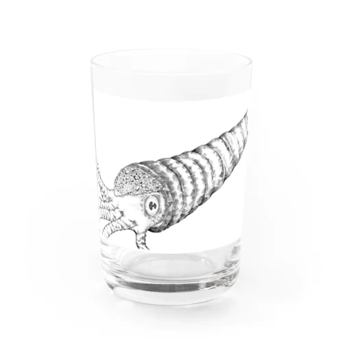 カメロケラス Water Glass