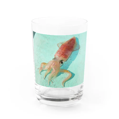 エメラルドとイカちゃん Water Glass