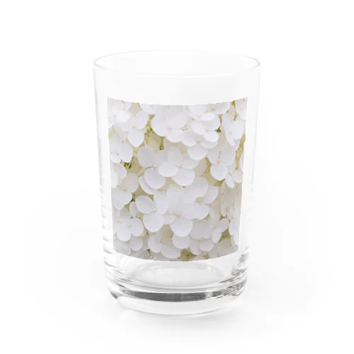 白い花 Water Glass