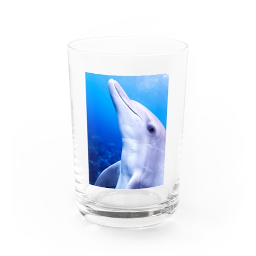 イルカに見られながら飲む！ Water Glass
