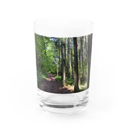 木漏れ日の散歩道 Water Glass