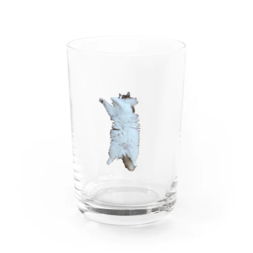 にゃんぽー Water Glass