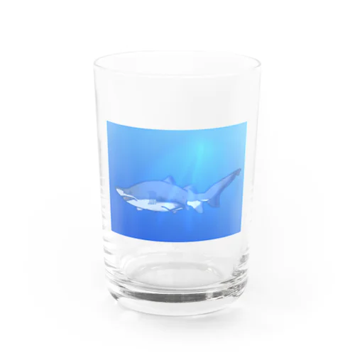 シロワニちゃん Water Glass