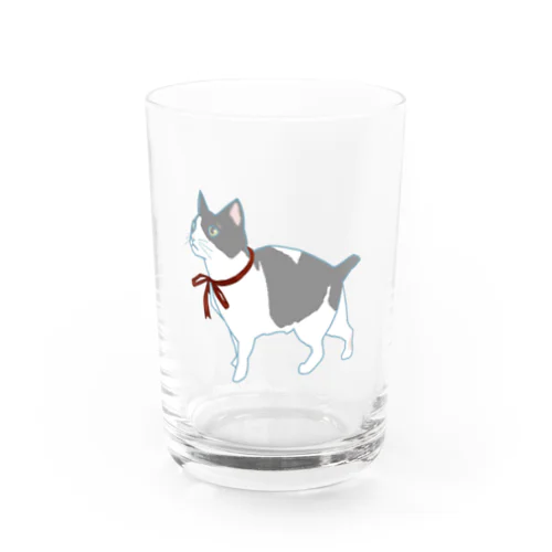 白黒猫まっくす(リボン) Water Glass