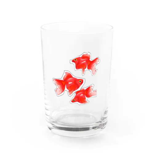 金魚鉢 Water Glass