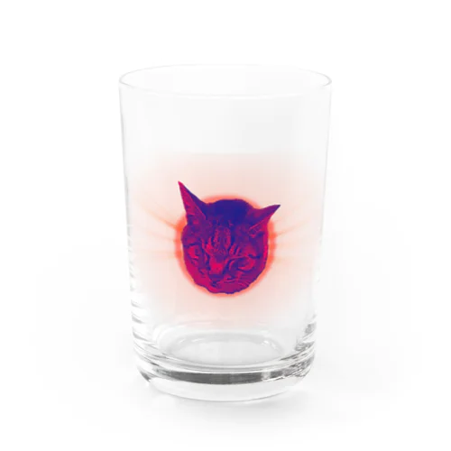 The cat sleep safely in space. Water Glass