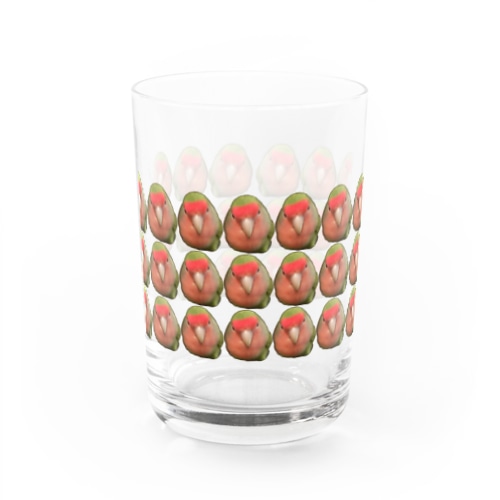 大量のコザクラインコグラス Water Glass