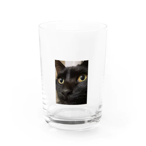 黒猫天ちゃん グラス