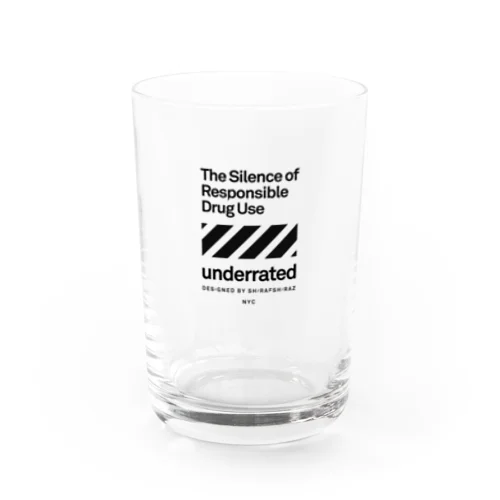 underrated SS22 Water Glass