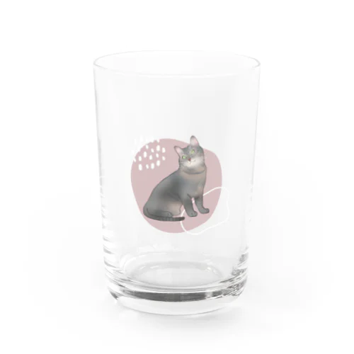 うちのにゃ～んこ（サバトラver.） Water Glass