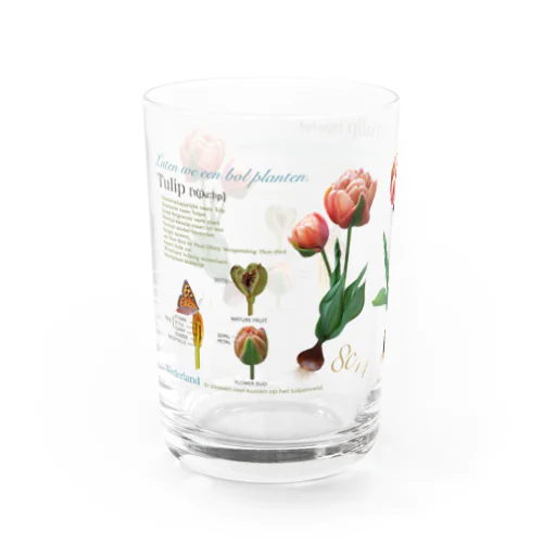 Gardener's glass Water Glass