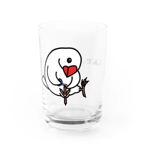 爪切り文鳥 Water Glass