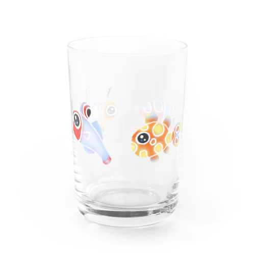 幼魚だから小さいよ Water Glass