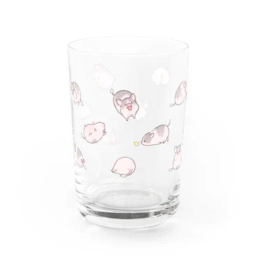 いっぱいしらたまちゃん Water Glass