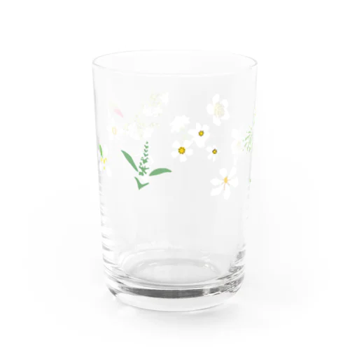 西表島の白い花（11種） Water Glass