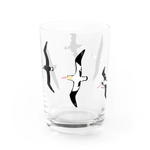 アホウドリたち Water Glass