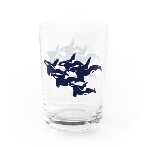 グラスワールドType:Orcas Water Glass