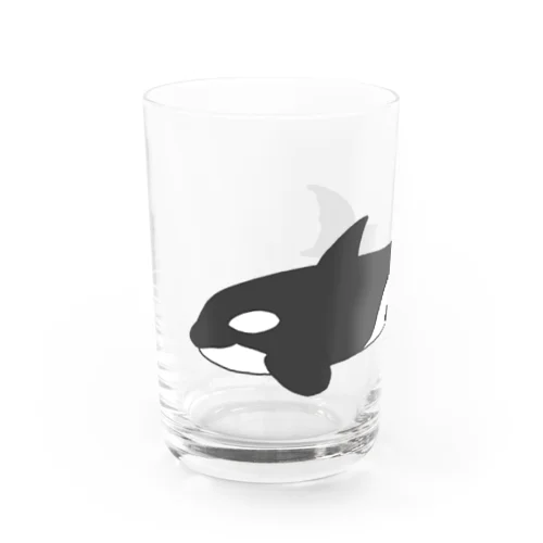 泳がせシャチ Water Glass