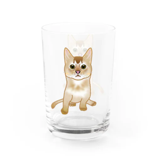 もう猫なんて嫌い！ソマリ Water Glass