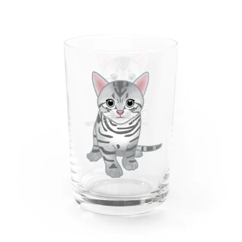 もう猫なんて嫌い！アメリカンショートヘア Water Glass