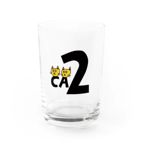 CA2 Water Glass