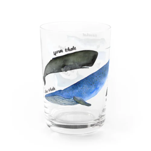 クジラまみれ Water Glass