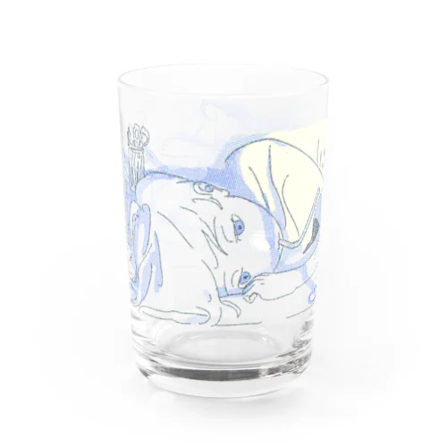 西日が入ってくる Water Glass