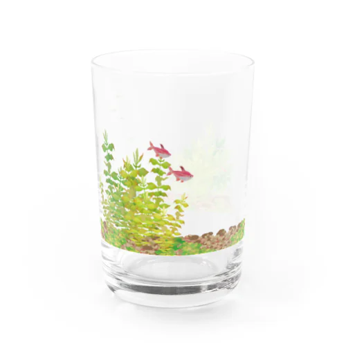 水草水槽グラス Water Glass