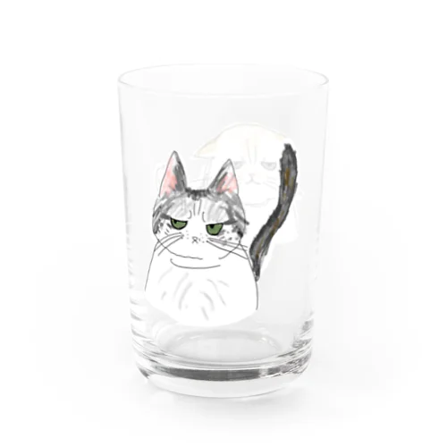 ふてぶてしい顔の猫のつがい Water Glass