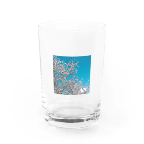 AY_SAKURA GLASS Water Glass
