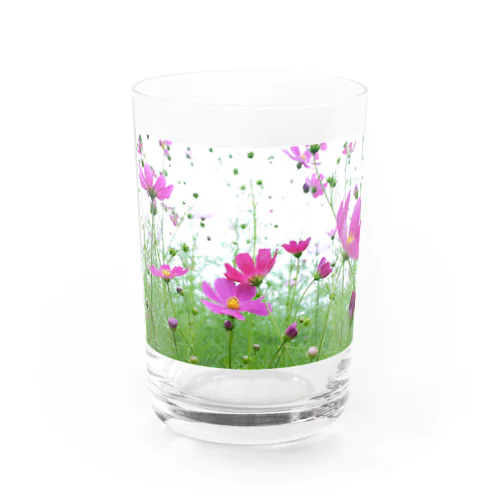 こすもす。秋桜。コスモス。 Water Glass