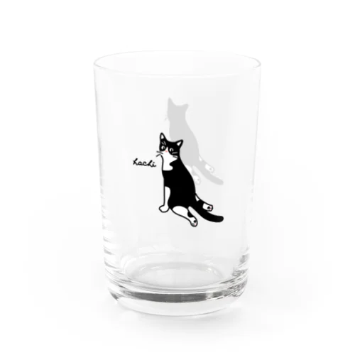 ハチワレ猫　ハチ　グラス グラス