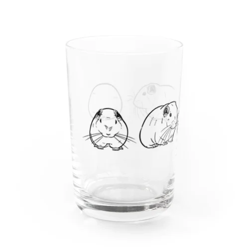 ４面グンディ Water Glass