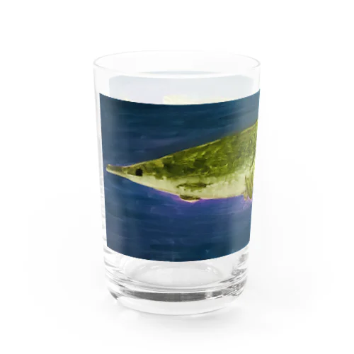 アリゲーターガー Water Glass