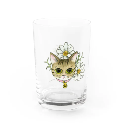 猫とアフリカンアイズ2 Water Glass