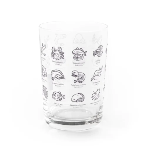 深海魚図鑑 Water Glass