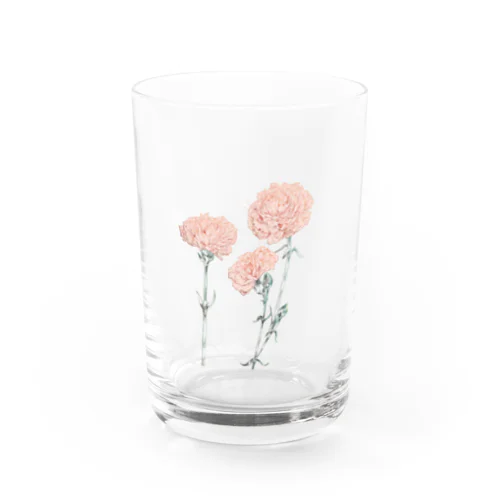 カーネーション　pink Water Glass