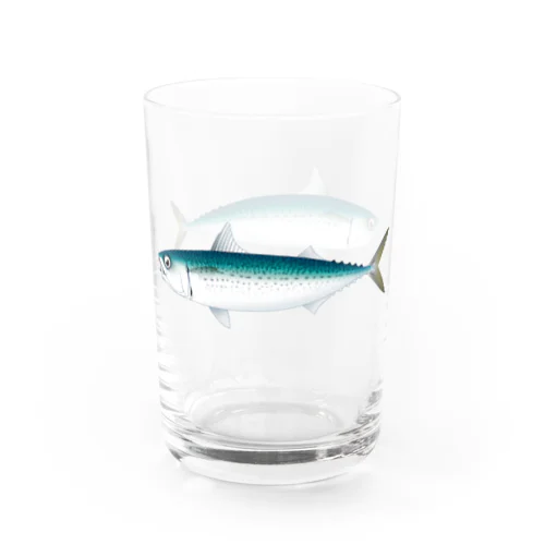 【魚類】ゴマサバちゃん☆胡麻鯖 Water Glass