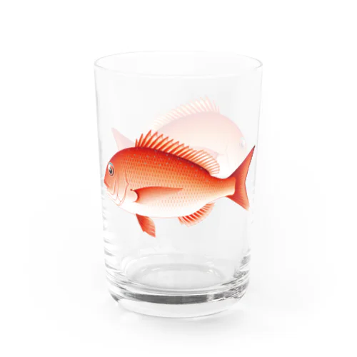 【魚類】マダイちゃん☆真鯛 Water Glass